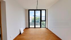 Haig Road (D15), Detached #504049551